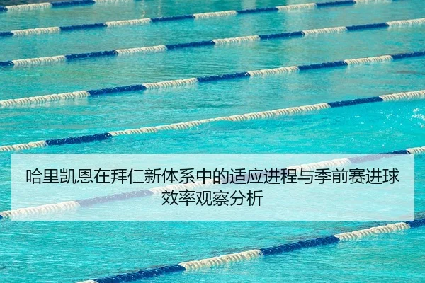 ha-li-kai-en-zai-bai-ren-xin-ti-xi-zhong-de-shi-ying-jin-cheng-yu-ji-qian-sai-jin-qiu-xiao-lv-guan-cha-fen-xi-2-384.jpg