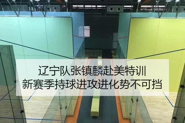 辽宁队张镇麟赴美特训 新赛季持球进攻进化势不可挡